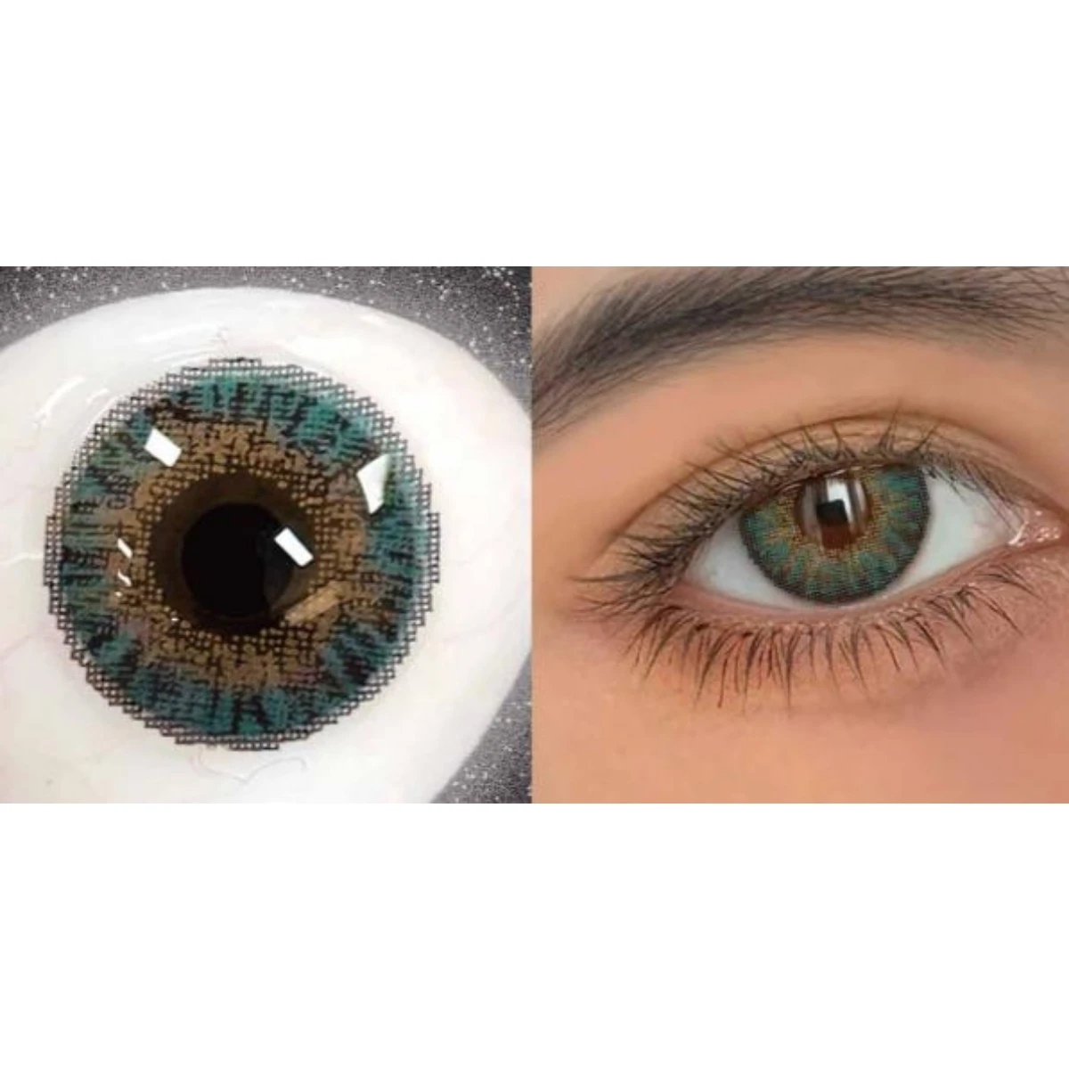 Fresh look blue green